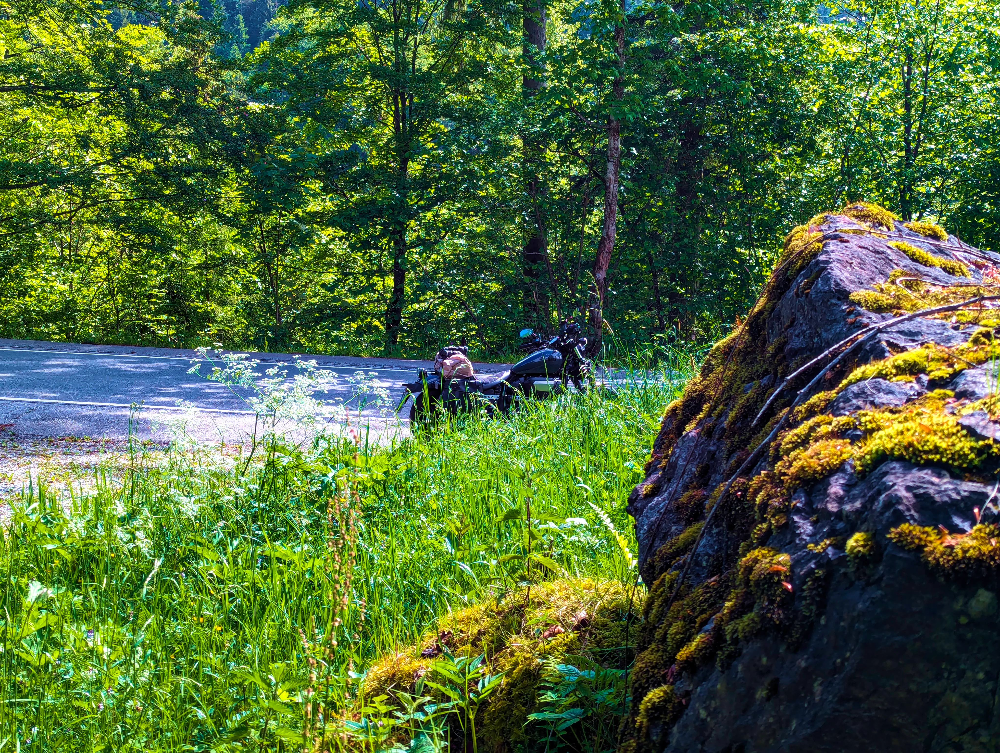 Bolt im Profil &hellip;