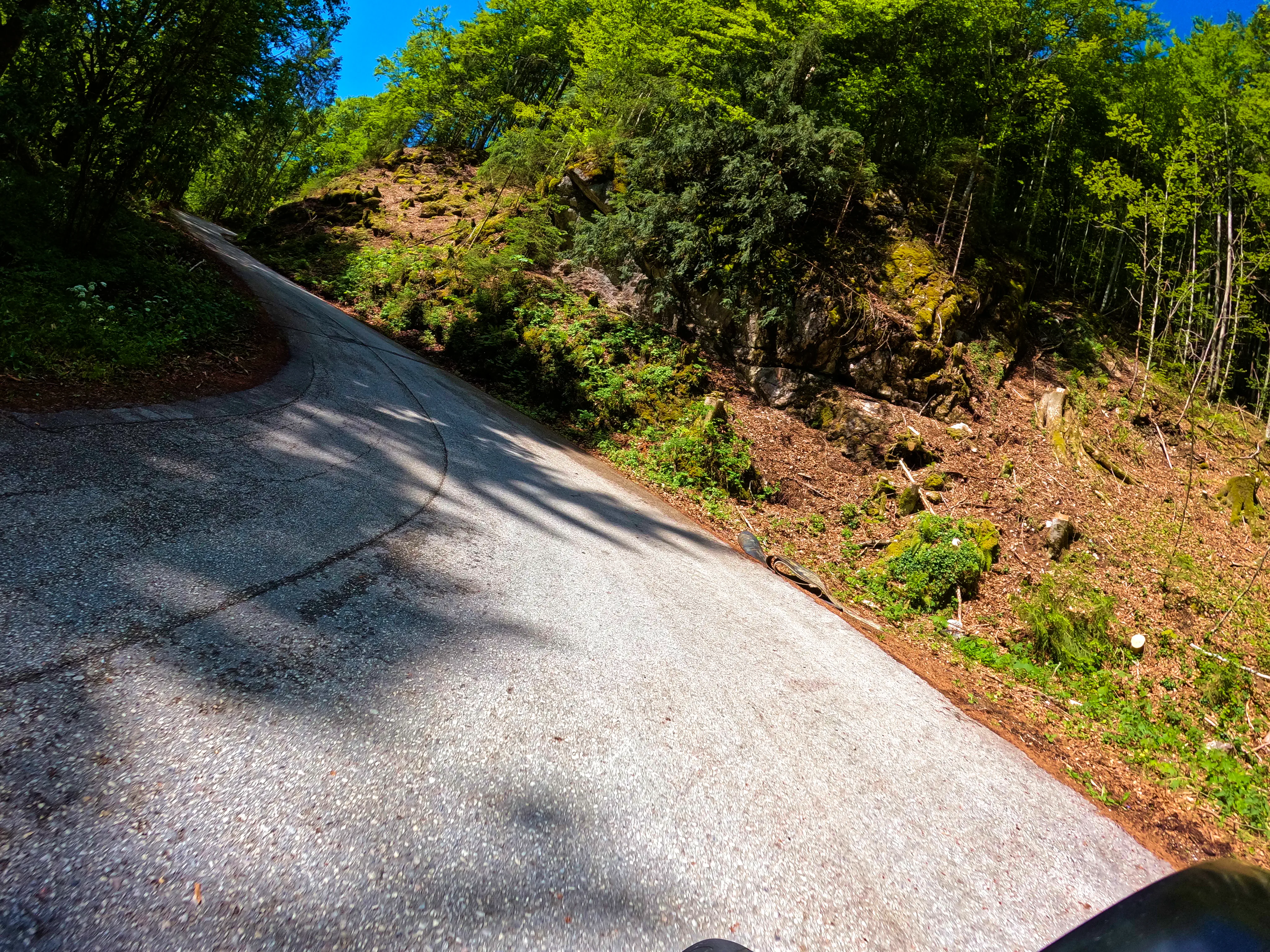 Mautstraße rauf zur Ackernalm