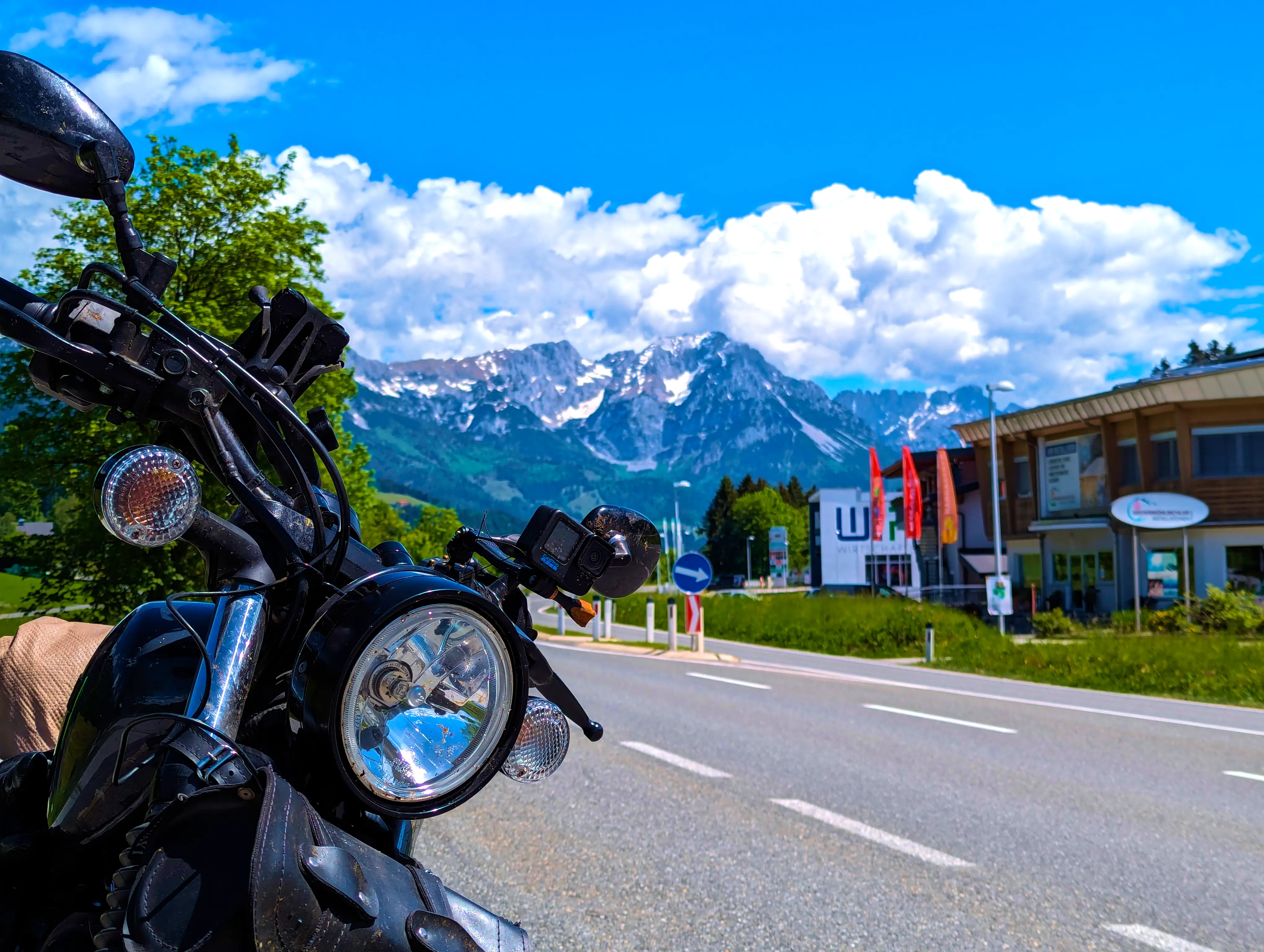 Insektenleichen vor Bergpanorama