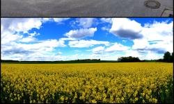 Featured image of post Zwei Jahre zuvor