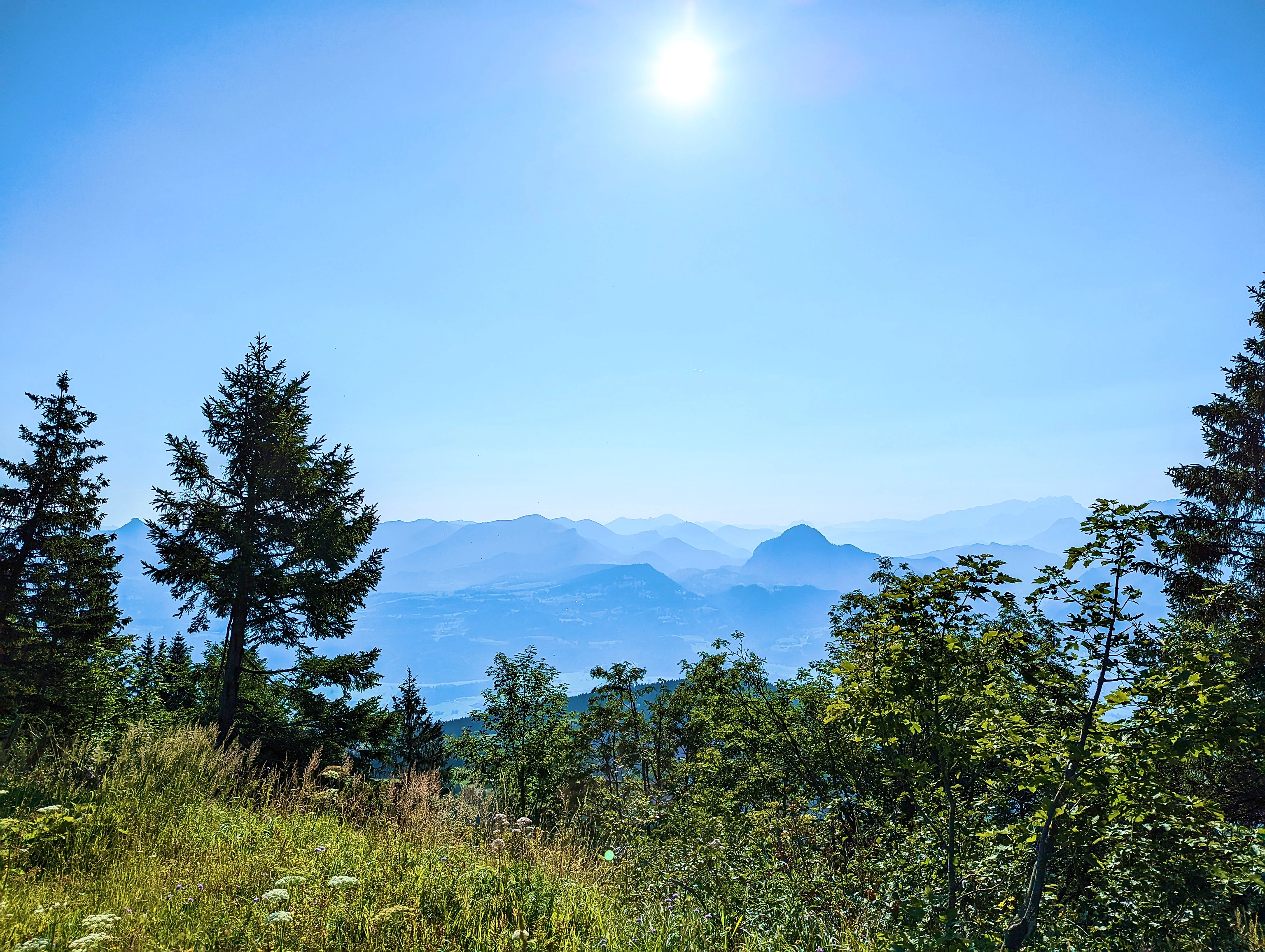 &hellip; Vogel genießt &hellip;