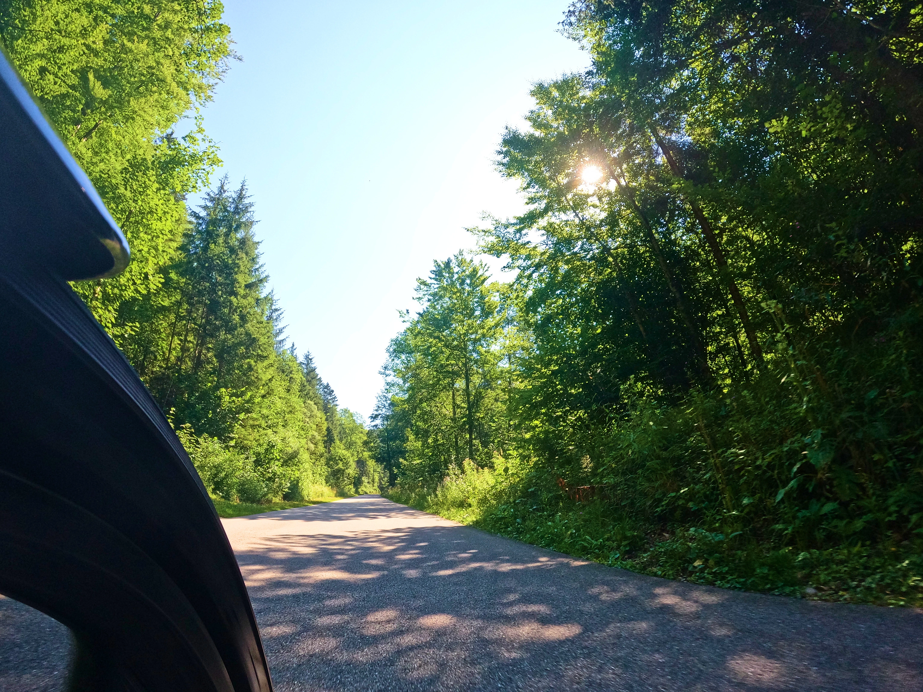 Erst sehr waldig&hellip;