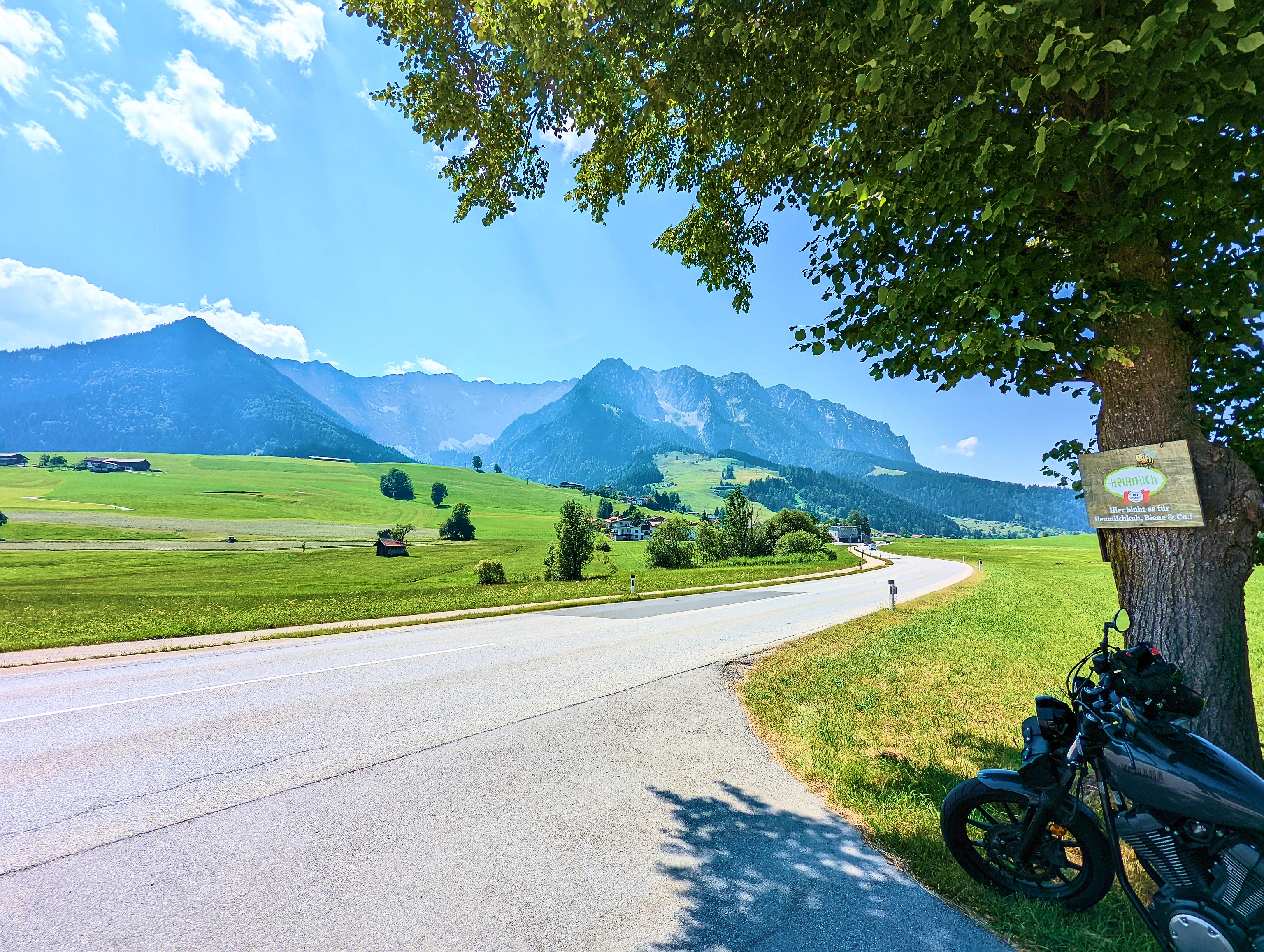 &hellip; schattenspendenden Baum.